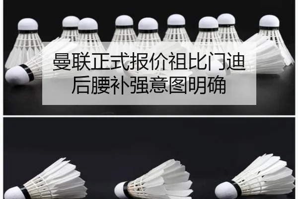 man-lian-zheng-shi-bao-jia-zu-bi-men-di-hou-yao-bu-qiang-yi-tu-ming-que-3-856.jpg